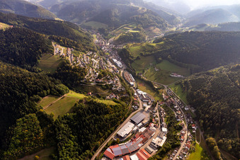Vue aérienne de Palettes Treyer à le quartier Bad Peterstal in Bad Peterstal-Griesbach dans le département Bade-Wurtemberg, Allemagne