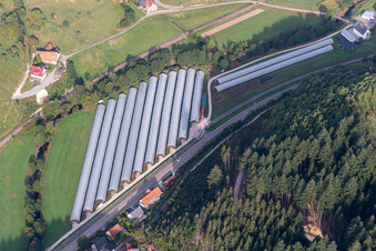 Vue aérienne de Tunnel dans le Renchtal à Oppenau dans le département Bade-Wurtemberg, Allemagne