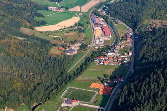 Vue aérienne de Bois de Renchtal à Oppenau dans le département Bade-Wurtemberg, Allemagne