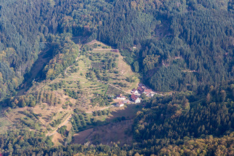 Vue aérienne de Rüstenbach à Lautenbach dans le département Bade-Wurtemberg, Allemagne