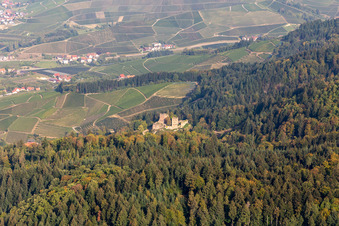 Vue aérienne de Ruines de Schauenburg à Oberkirch dans le département Bade-Wurtemberg, Allemagne