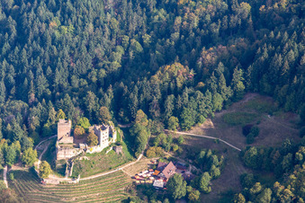 Vue aérienne de Ruines de Schauenburg à Oberkirch dans le département Bade-Wurtemberg, Allemagne
