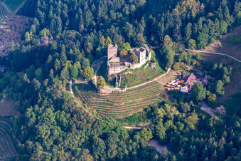 Vue aérienne de Ruines et vestiges des murs de l'ancien complexe du château de Schauenburg à le quartier Wolfhag in Oberkirch dans le département Bade-Wurtemberg, Allemagne