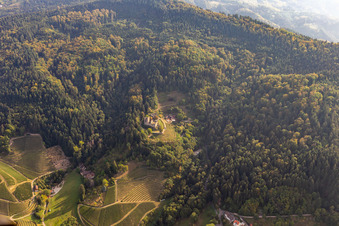 Vue aérienne de Ruines et auberge du château de Schauenburg à Oberkirch dans le département Bade-Wurtemberg, Allemagne