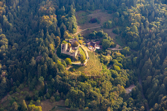 Vue aérienne de Ruines et auberge du château de Schauenburg à Oberkirch dans le département Bade-Wurtemberg, Allemagne