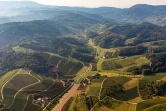 Vue aérienne de Weintalstrasse à Weidenbachtal à Oberkirch dans le département Bade-Wurtemberg, Allemagne