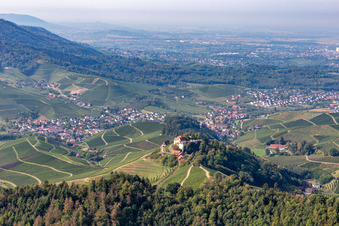 Vue aérienne de Domaine viticole et restaurants Château de Staufenberg à le quartier Heimbach in Durbach dans le département Bade-Wurtemberg, Allemagne