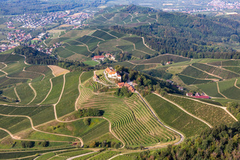 Photographie aérienne de Domaine viticole Markgraf von Baden au château de Staufenberg à le quartier Heimbach in Durbach dans le département Bade-Wurtemberg, Allemagne