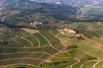 Vue oblique de Domaine viticole Markgraf von Baden au château de Staufenberg à le quartier Heimbach in Durbach dans le département Bade-Wurtemberg, Allemagne