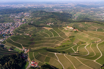Vue aérienne de Quartier Heimbach in Durbach dans le département Bade-Wurtemberg, Allemagne