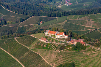 Vue oblique de Domaine viticole et restaurants Château de Staufenberg à le quartier Heimbach in Durbach dans le département Bade-Wurtemberg, Allemagne