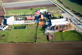 Vue aérienne de Adamshof à Kandel dans le département Rhénanie-Palatinat, Allemagne
