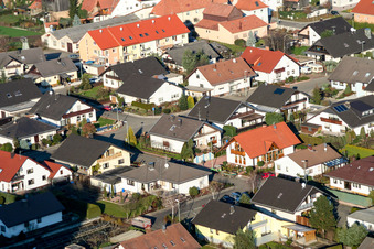 Vue aérienne de Dans les prairies de bouleaux à Hatzenbühl dans le département Rhénanie-Palatinat, Allemagne