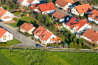 Vue aérienne de Fidelisstr à Rheinzabern dans le département Rhénanie-Palatinat, Allemagne