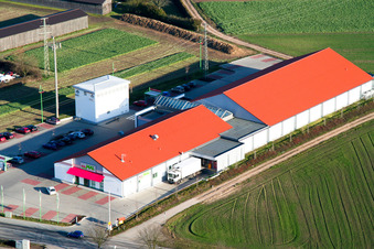 Vue aérienne de Minimal à Rheinzabern dans le département Rhénanie-Palatinat, Allemagne