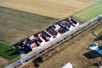 Vue aérienne de Rue Jockgrimer à Rheinzabern dans le département Rhénanie-Palatinat, Allemagne