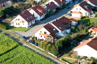 Vue aérienne de Fidelisstr à Rheinzabern dans le département Rhénanie-Palatinat, Allemagne