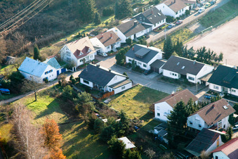 Vue aérienne de Rue du Rhin à Jockgrim dans le département Rhénanie-Palatinat, Allemagne