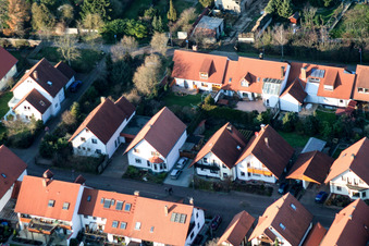 Vue aérienne de Vivre près de la ville, dans le jardin des pêchers à Kandel dans le département Rhénanie-Palatinat, Allemagne