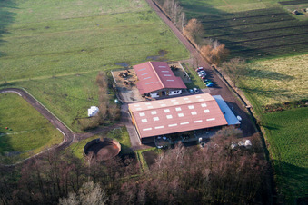 Vue aérienne de Ferme de poneys à Freckenfeld dans le département Rhénanie-Palatinat, Allemagne