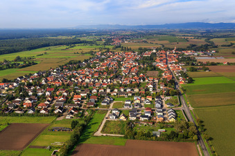 Photographie aérienne de Nouvelle zone de développement à Holderbusch depuis l'est à Minfeld dans le département Rhénanie-Palatinat, Allemagne