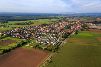 Vue oblique de Nouvelle zone de développement à Holderbusch depuis l'est à Minfeld dans le département Rhénanie-Palatinat, Allemagne
