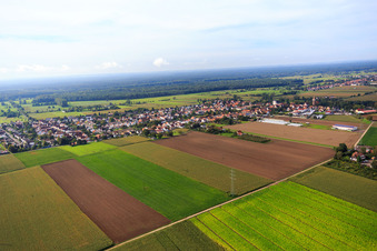 Vue aérienne de Vue du village depuis le nord-est à Minfeld dans le département Rhénanie-Palatinat, Allemagne