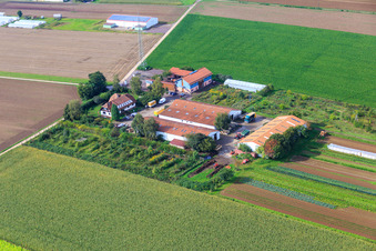 Vue aérienne de Marché du village Schoßberghof de Michael Groß Agriculture à Minfeld dans le département Rhénanie-Palatinat, Allemagne