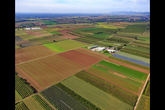 Vue aérienne de Le jardin de Bauer du nord-est à Winden dans le département Rhénanie-Palatinat, Allemagne