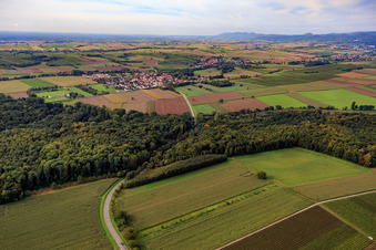 Vue aérienne de Tracé de la L544 à travers la forêt près de Barbelroth à le quartier Ingenheim in Billigheim-Ingenheim dans le département Rhénanie-Palatinat, Allemagne