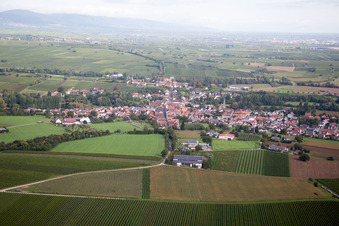 Vue aérienne de Quartier Ingenheim in Billigheim-Ingenheim dans le département Rhénanie-Palatinat, Allemagne