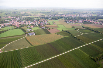 Photographie aérienne de Quartier Ingenheim in Billigheim-Ingenheim dans le département Rhénanie-Palatinat, Allemagne