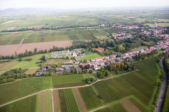 Vue oblique de Quartier Ingenheim in Billigheim-Ingenheim dans le département Rhénanie-Palatinat, Allemagne