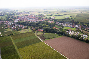 Quartier Ingenheim in Billigheim-Ingenheim dans le département Rhénanie-Palatinat, Allemagne vue d'en haut