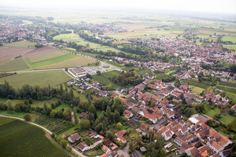 Vue aérienne de Quartier Appenhofen in Billigheim-Ingenheim dans le département Rhénanie-Palatinat, Allemagne