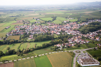 Vue oblique de Quartier Appenhofen in Billigheim-Ingenheim dans le département Rhénanie-Palatinat, Allemagne