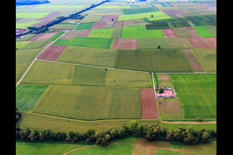 Vue aérienne de Rosenhof à Steinweiler dans le département Rhénanie-Palatinat, Allemagne
