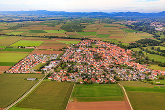 Vue aérienne de Vue d'ensemble de la ville depuis l'est à Steinweiler dans le département Rhénanie-Palatinat, Allemagne