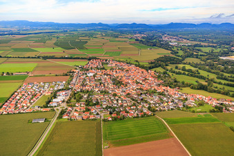 Vue aérienne de Vue d'ensemble de la ville depuis l'est à Steinweiler dans le département Rhénanie-Palatinat, Allemagne