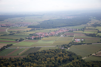 Vue aérienne de Du sud-ouest à Erlenbach bei Kandel dans le département Rhénanie-Palatinat, Allemagne