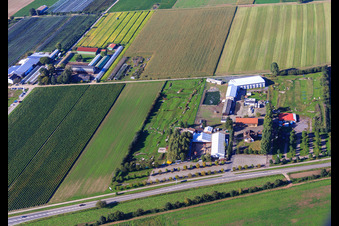 Vue aérienne de Parc de football et de golf du Palatinat du Sud à Adamshof Kandel à Kandel dans le département Rhénanie-Palatinat, Allemagne