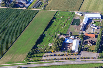 Photographie aérienne de Parc de football et de golf du Palatinat du Sud à Adamshof Kandel à Kandel dans le département Rhénanie-Palatinat, Allemagne