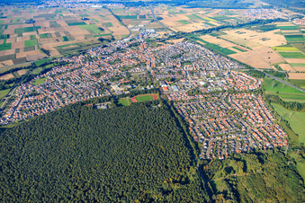 Vue aérienne de Vue d'ensemble de la ville depuis le sud-ouest à Rülzheim dans le département Rhénanie-Palatinat, Allemagne