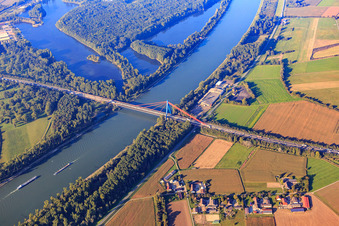 Vue aérienne de Pont pylône de l'autoroute A61 sur le Rhin à Hockenheim dans le département Bade-Wurtemberg, Allemagne