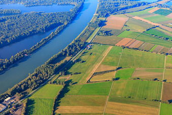Vue aérienne de Aérodrome de Herrenteich à Hockenheim dans le département Bade-Wurtemberg, Allemagne