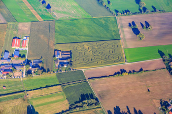 Vue aérienne de Écurie équestre Zahn et labyrinthe de maïs d'Hockenheim à Hockenheim dans le département Bade-Wurtemberg, Allemagne