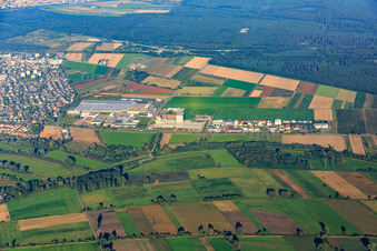 Vue aérienne de Zone industrielle de l'Anhalter Straße à Ketsch dans le département Bade-Wurtemberg, Allemagne