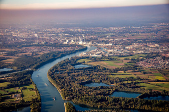 Vue aérienne de Quartier Rheinau in Mannheim dans le département Bade-Wurtemberg, Allemagne