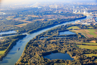 Vue aérienne de Schwetzinger Wiesen-Edinger Ried et Rohrhofer See dans les prairies du Rhin à Schwetzingen dans le département Bade-Wurtemberg, Allemagne