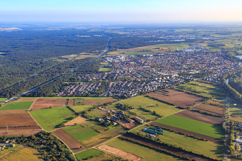 Vue aérienne de Vue du nord à Ketsch dans le département Bade-Wurtemberg, Allemagne
